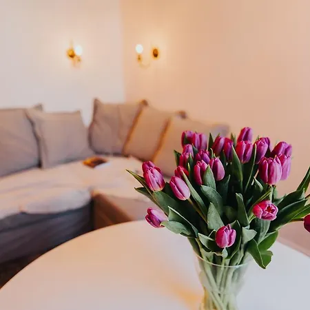 Apartament Elite Old Town *